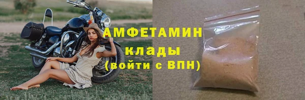 амф Верхний Тагил