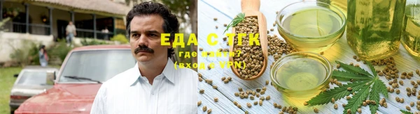 амф Верхний Тагил