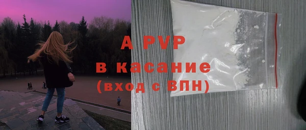 амф Верхний Тагил