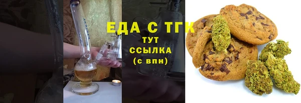 амф Верхний Тагил