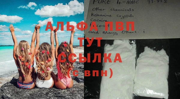 амф Верхний Тагил