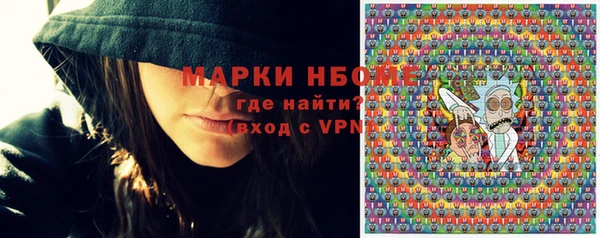 амф Верхний Тагил