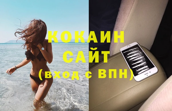 амф Верхний Тагил