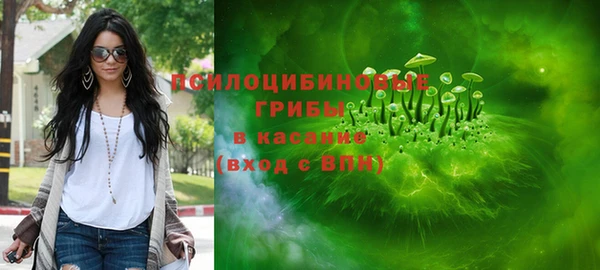 амф Верхний Тагил