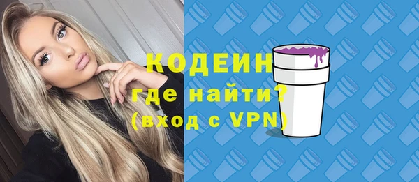 амф Верхний Тагил