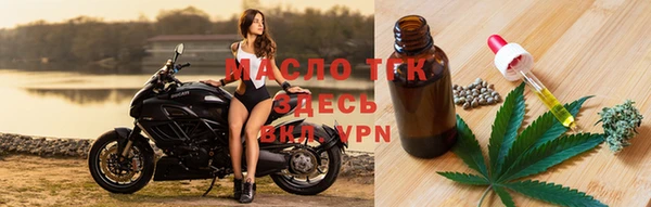 амф Верхний Тагил